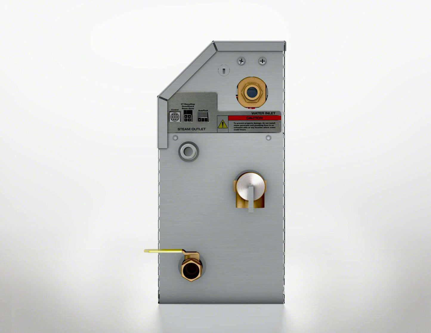 eSeries 12kW Steam Bath Generator at 240V
