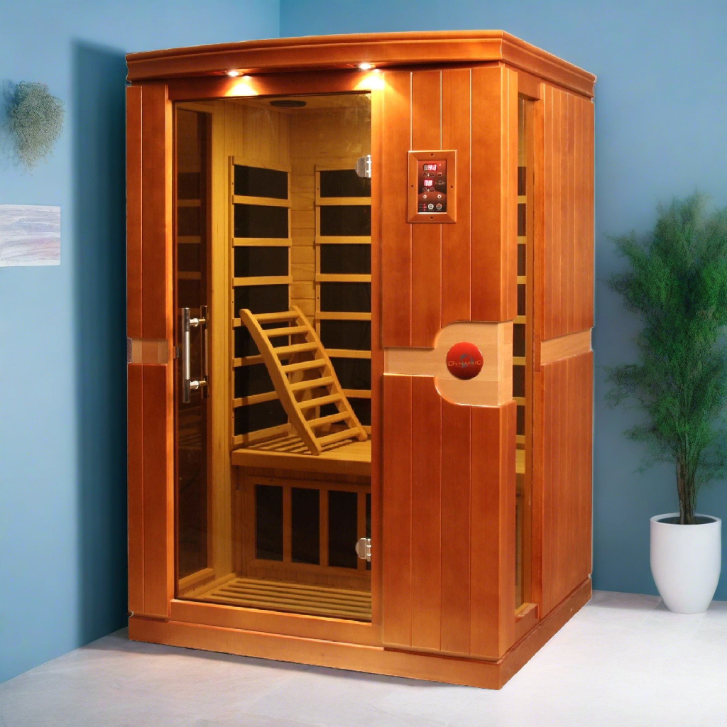 Dynamic Saunas Venice 2 Person with its door open