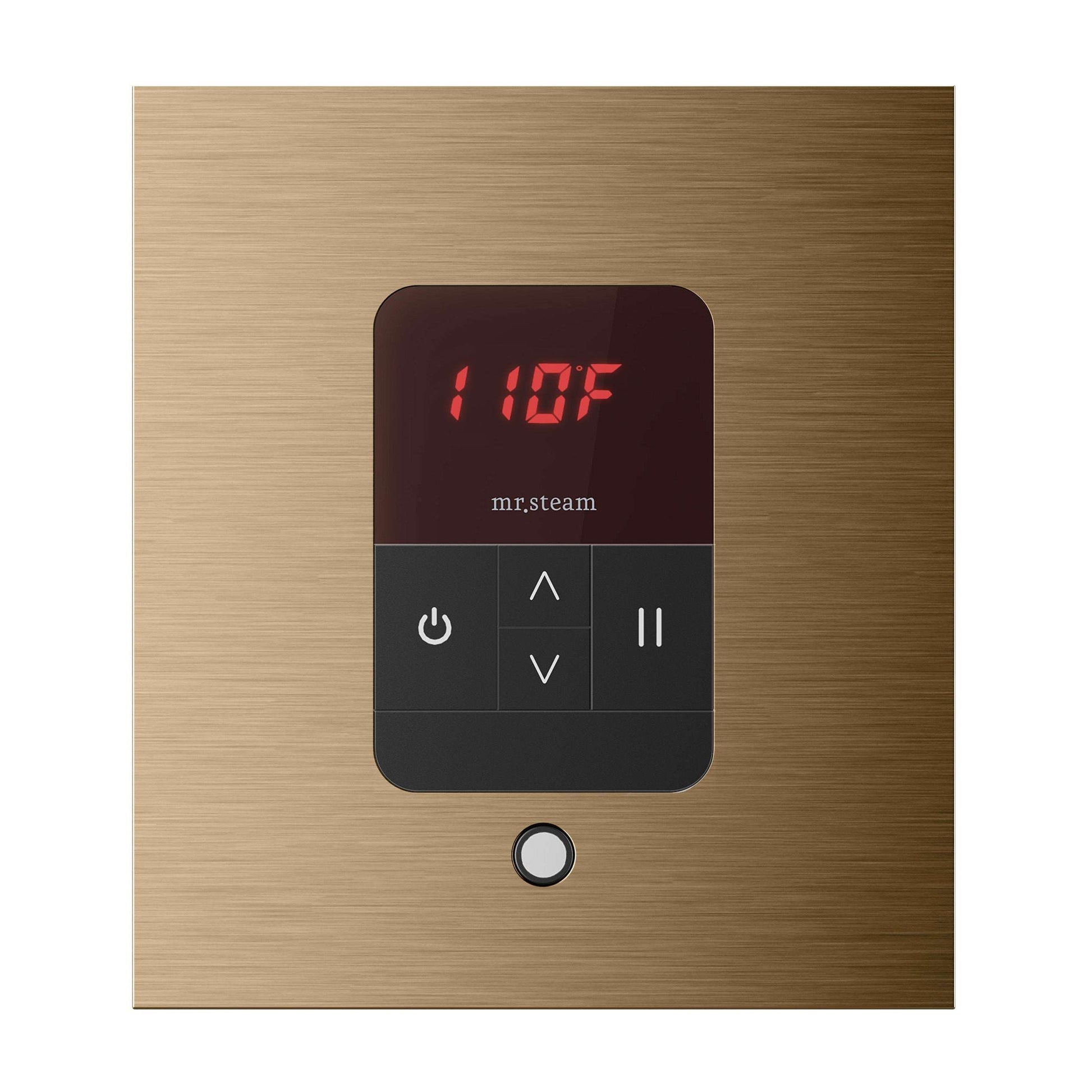 iTempo® Steam Shower Control