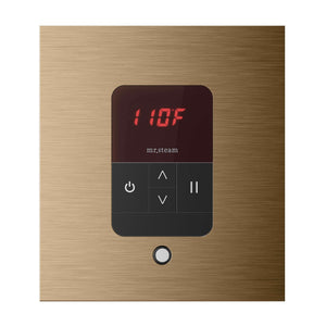 iTempo® Steam Shower Control