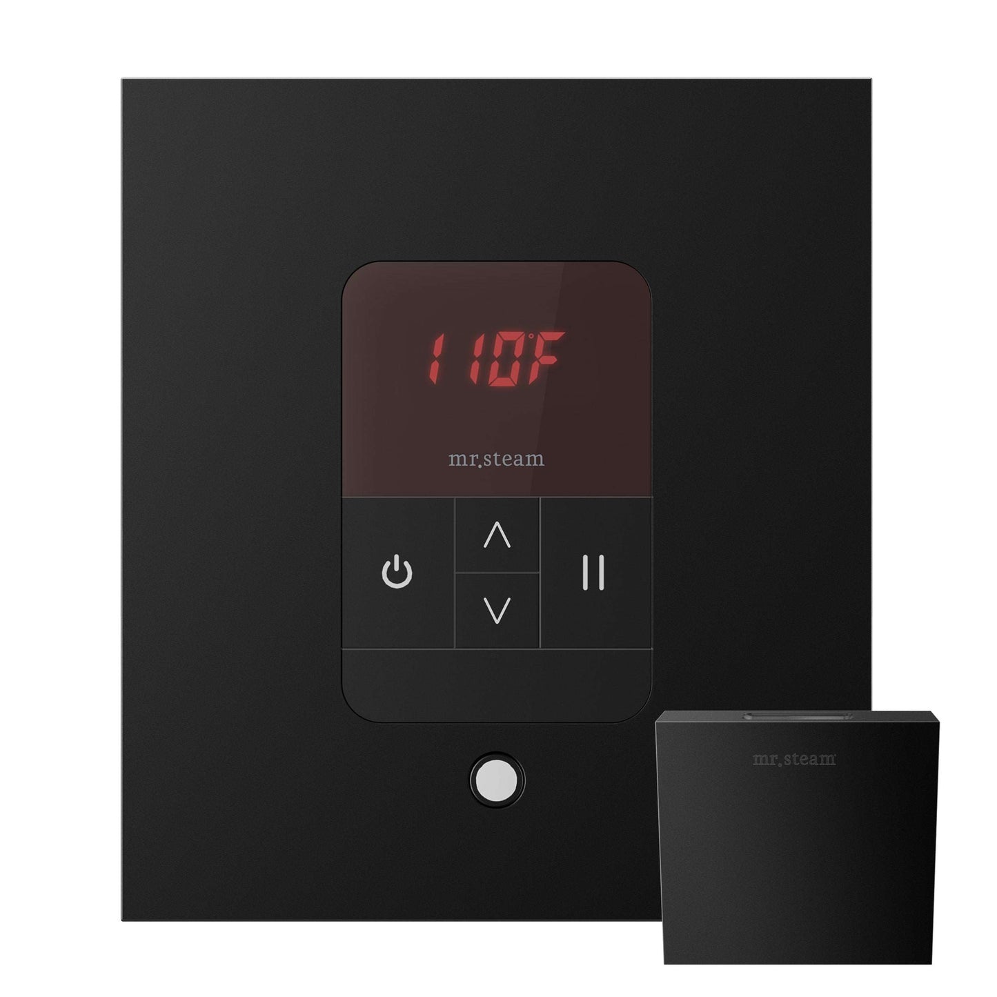 iTempo® Steam Shower Control