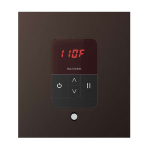 iTempo® Steam Shower Control