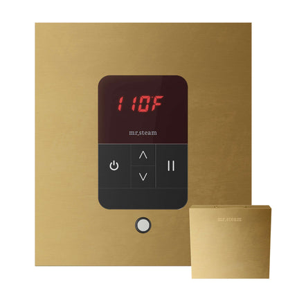 iTempo® Steam Shower Control