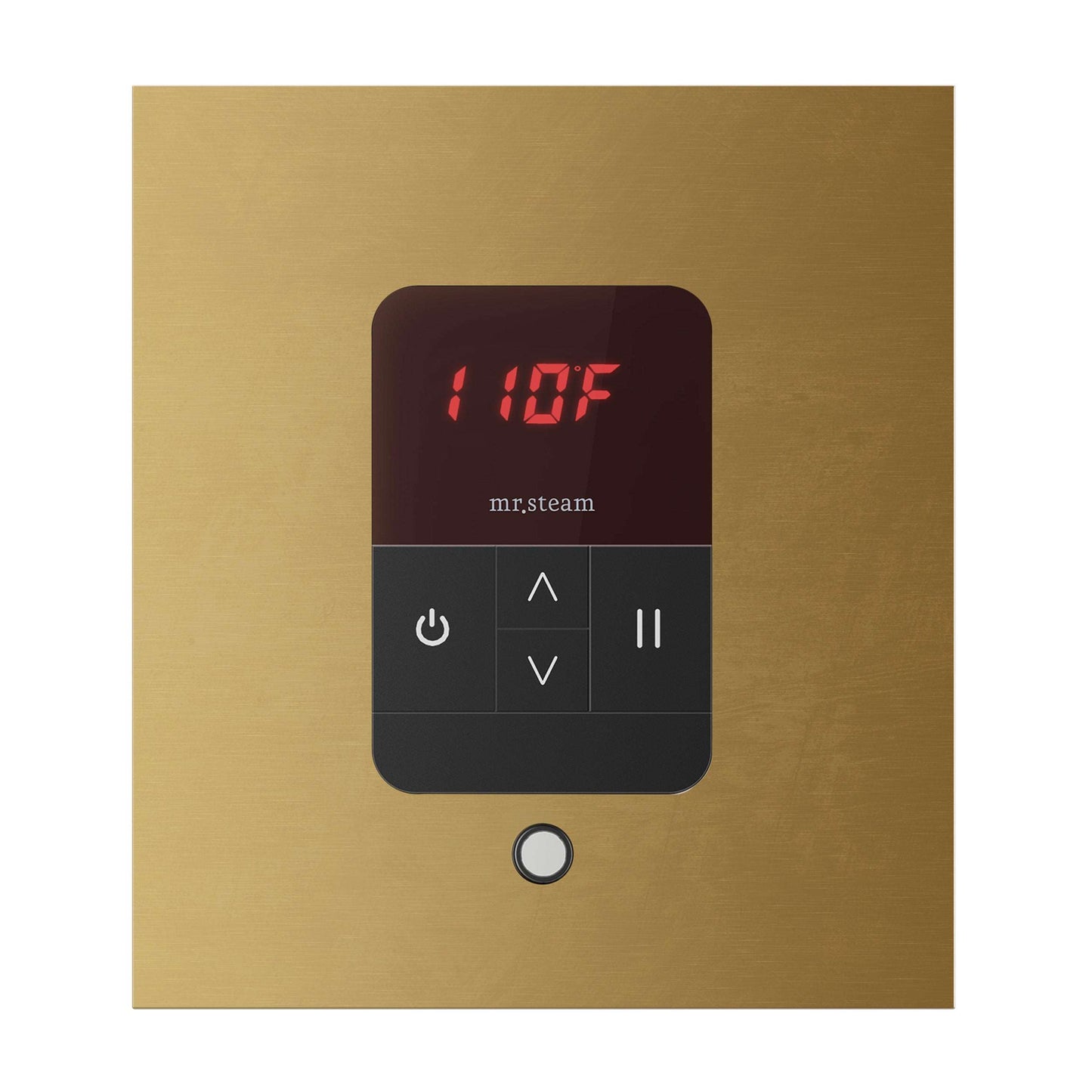 iTempo® Steam Shower Control