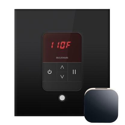 iTempo® Steam Shower Control