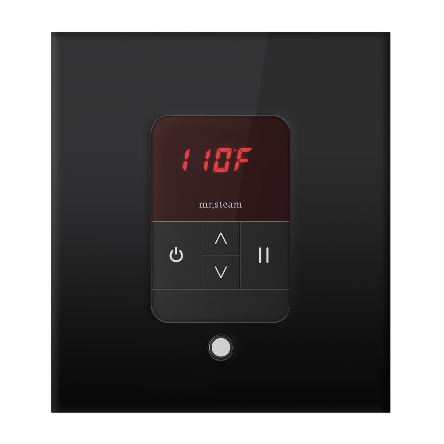 iTempo® Steam Shower Control