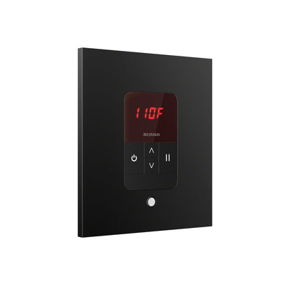 iTempo® Steam Shower Control