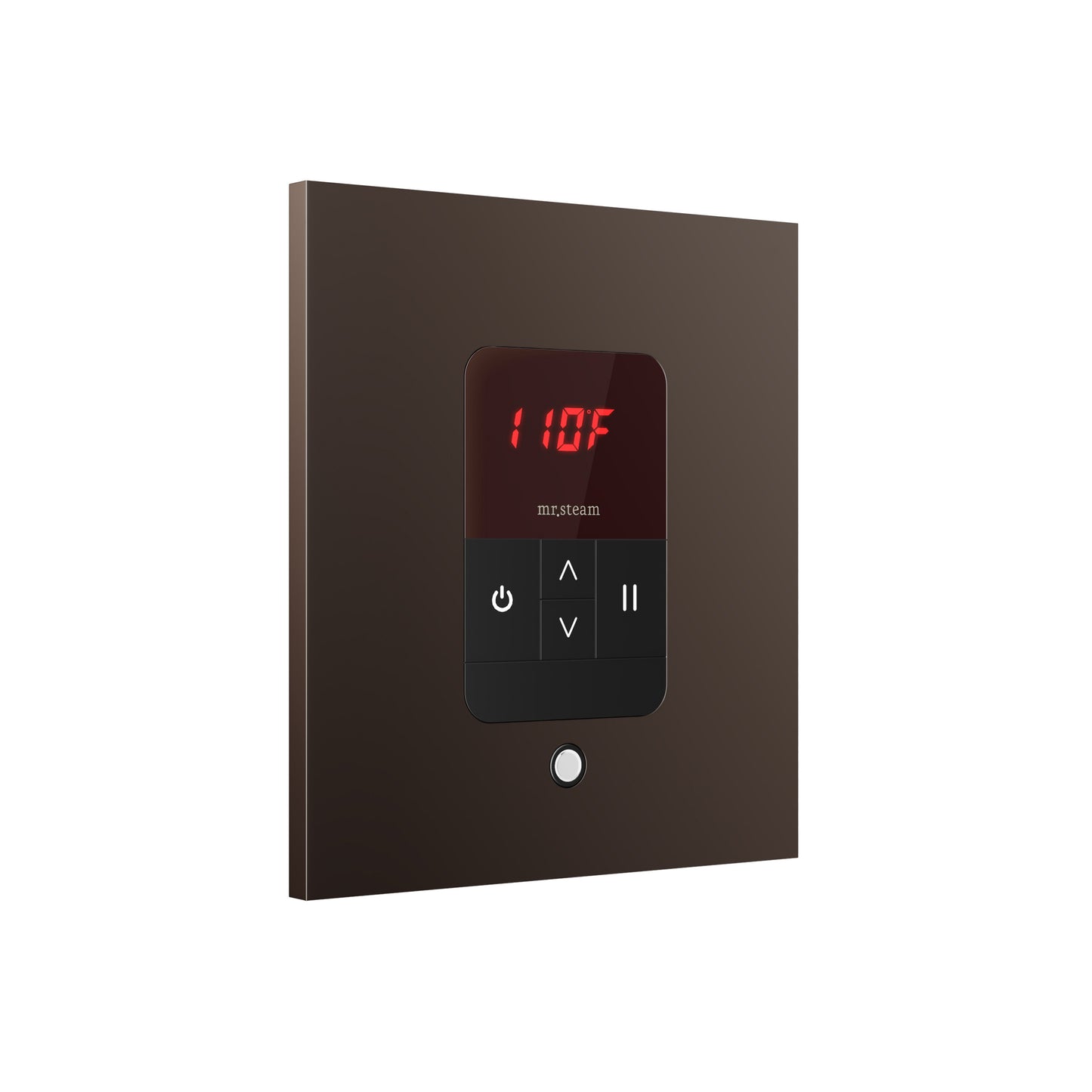 iTempo® Steam Shower Control