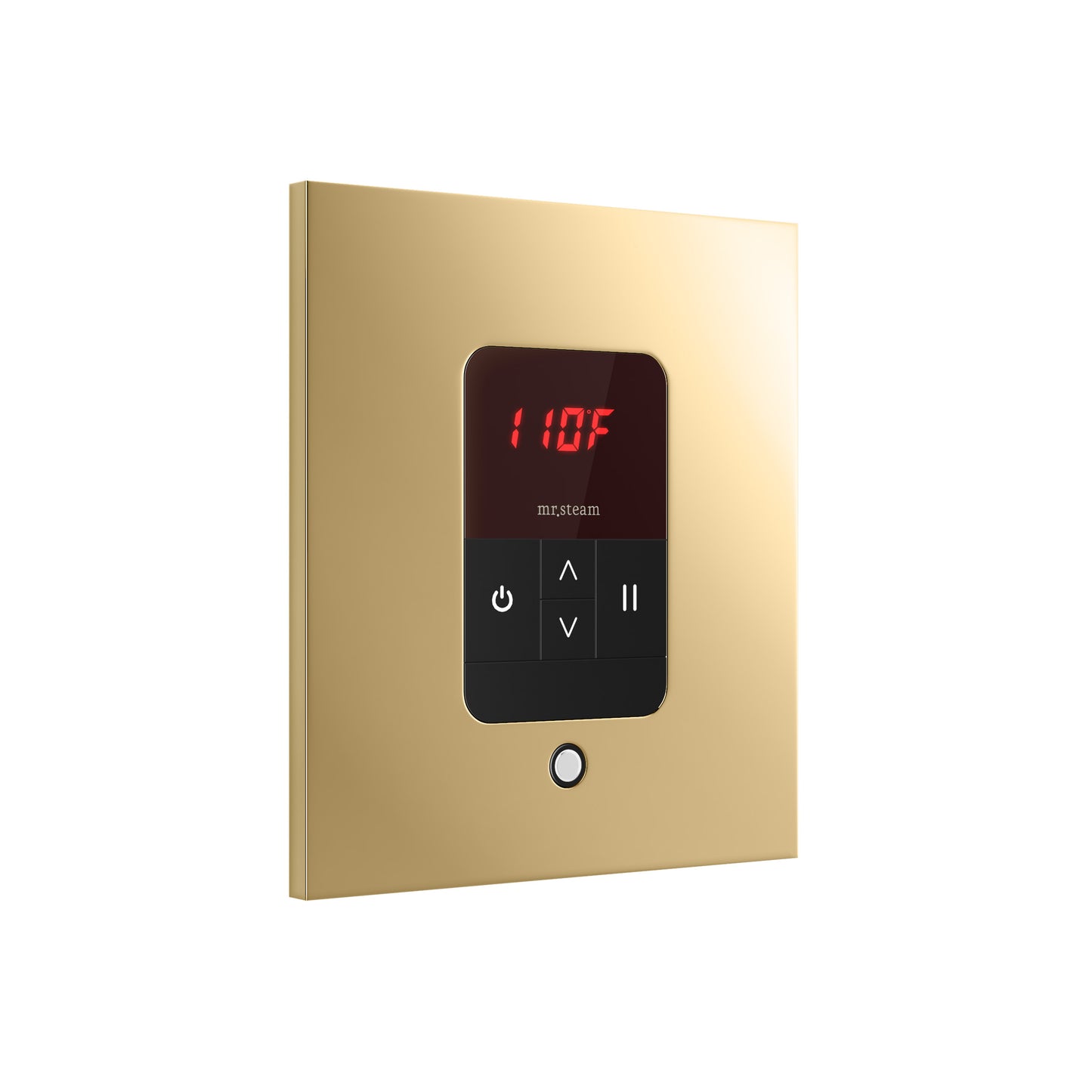 iTempo® Steam Shower Control