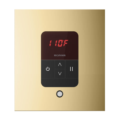 iTempo® Steam Shower Control