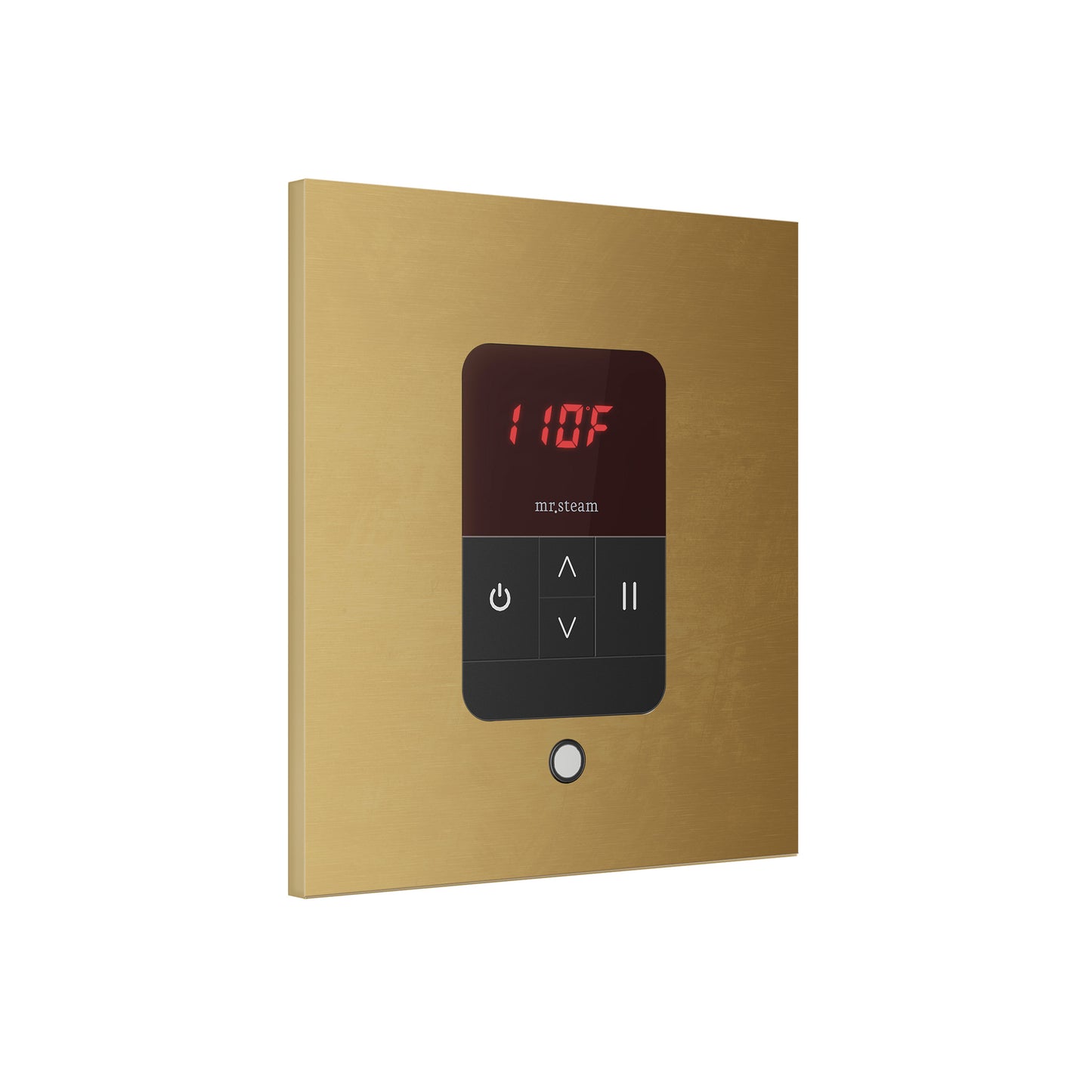 iTempo® Steam Shower Control