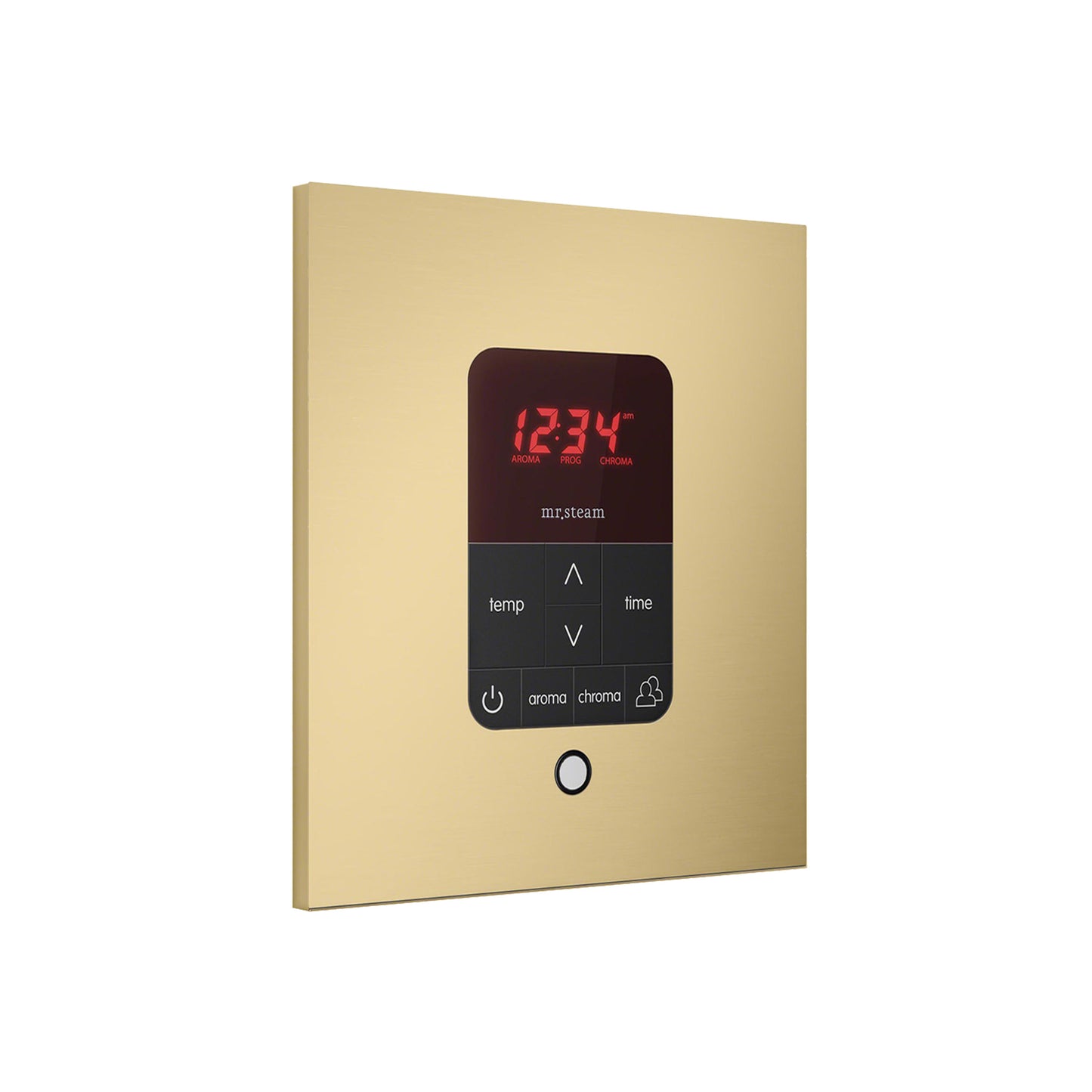 iTempo® Steam Shower Control