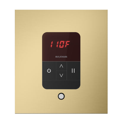 iTempo® Steam Shower Control